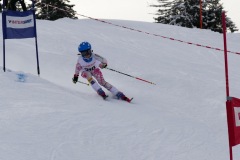 IMG_3868