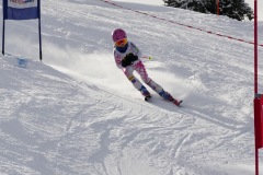 IMG_3901