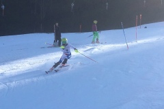 ossv_jo_cup_wildhaus_2018_10_20180116_1730185954