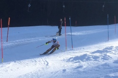 ossv_jo_cup_wildhaus_2018_8_20180116_1935432524